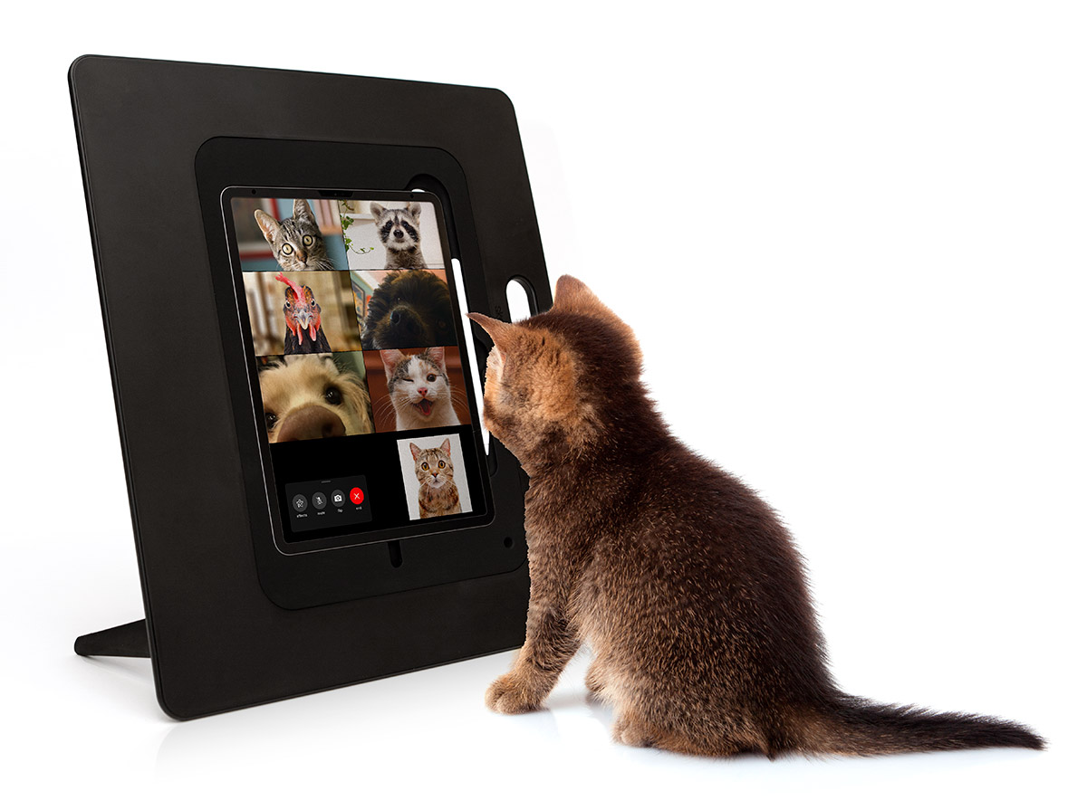 Sketchboard Pro Standing Pets Video Call 